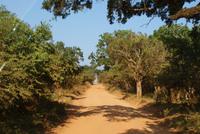 Yala Park
