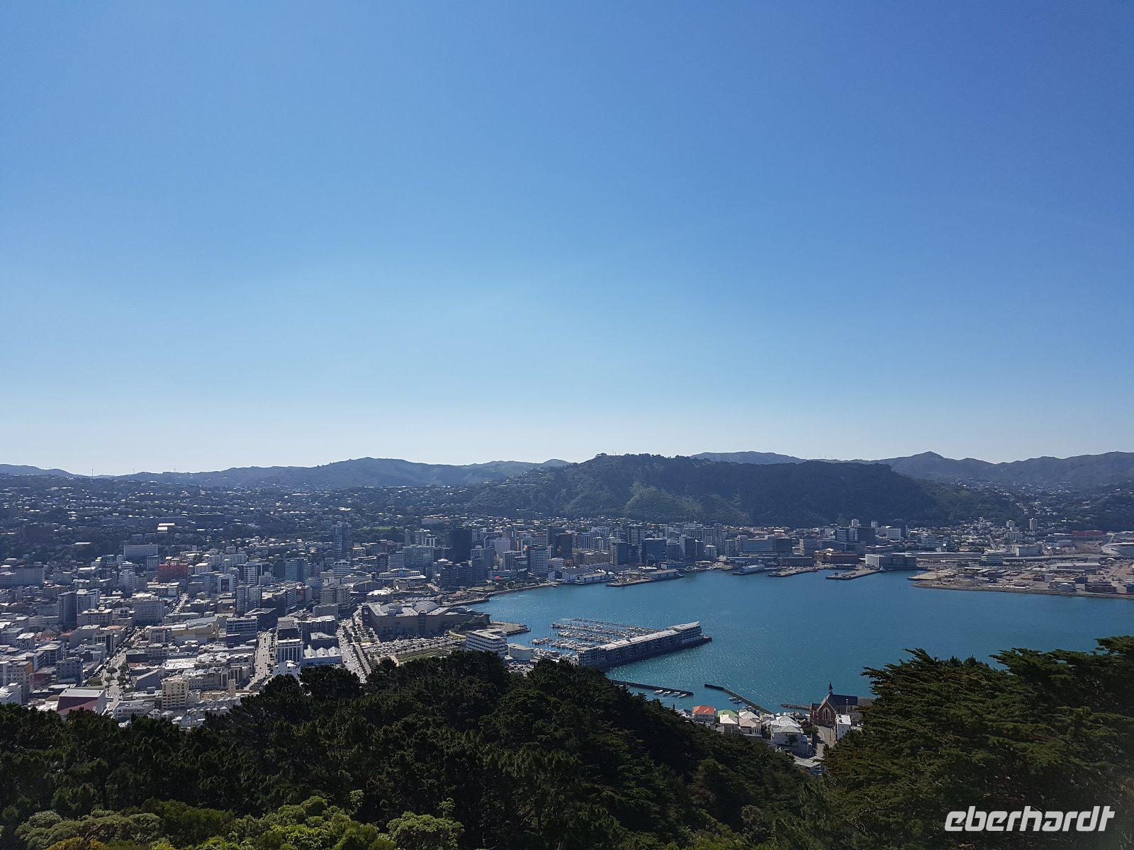 1117_Wellington
