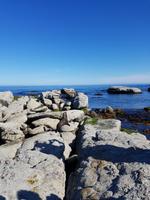 1213_Kaikoura