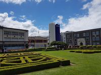 1427_Dunedin