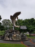 1505_Gore