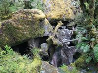 1619_The Chasm