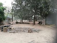 Featherdale Wildlife Park