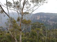 Blue Mountains