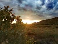 Sonnenaufgang im Outback