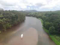 Skyrail über den Regenwald