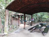 Daintree Nationalpark 