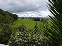 0504_Kauri Museum Matakohe