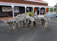 0505_Kauri Museum Matakohe