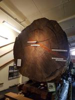 0506_Kauri Museum Matakohe