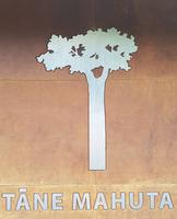 0510_Tane Mahuta