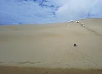 0603_Ausflug Cape Reinga