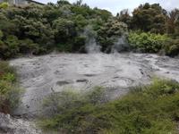 0907_Rotorua; Te Puia.
