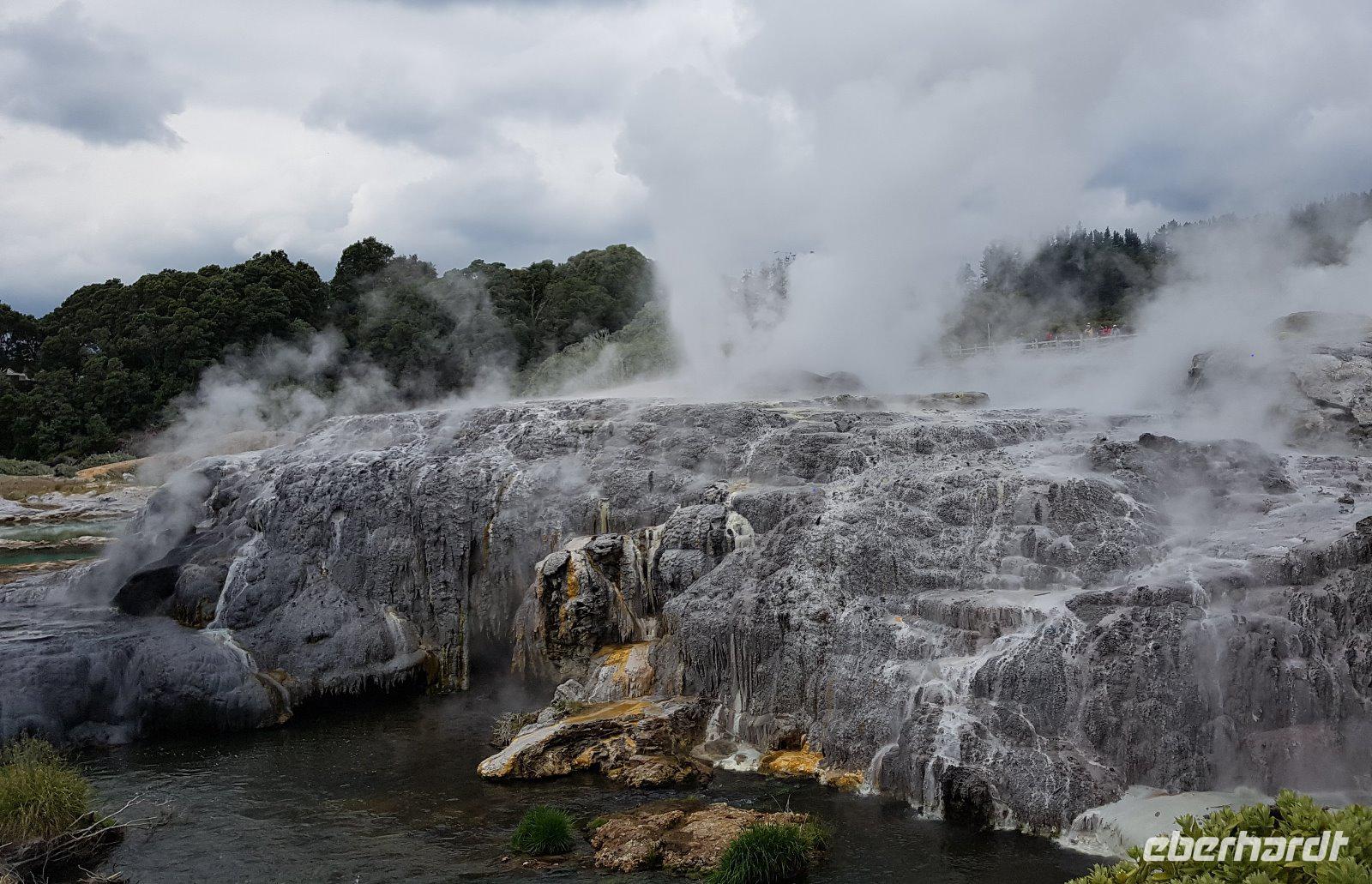 0909_Rotorua; Te Puia.