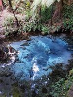 0918_Rotorua; Maori-Abend