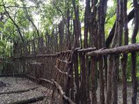 0919_Rotorua; Maori-Abend