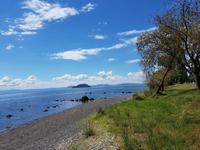 1006_Lake Taupo; Motutere Beach