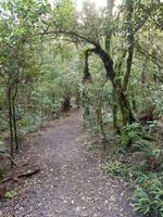 1011_Lake Taupo; Maori Wanderung