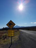 1104_Mount Ngauruhoe