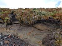 1107_Okahune Mountain Road