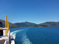 1204_Fährüberfahrt Nord- Südinsel