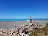1205_Kekerengu Beach