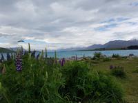 1311_Lake Tekapo
