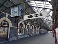1424_Dunedin