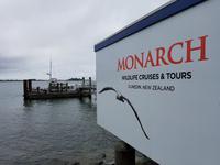 1429_Otago Peninsula