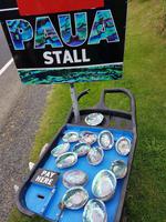 1435_Otago Peninsula