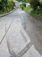 1503_Dunedin; Baldwin Street