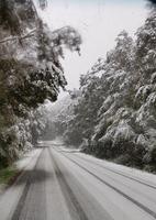 1603_zum Milfordsound