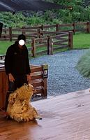 1712_Abendausflug Earnslaw.