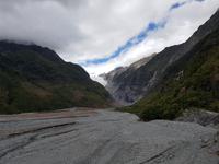1901_Franz Josef Glacier