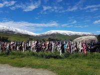 1811_Cardrona