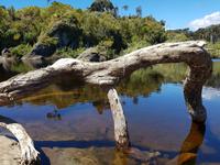 1818_Ship Creek