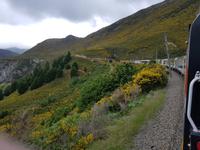 2026_TranzAlpine