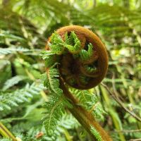 Rundreise Neuseeland // Besuch von Hobbiton