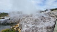 Rundreise Neuseeland // Besuch vom Geothermalpark Te Puia