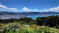 Rundreise Neuseeland // Rundfahrt in Wellington