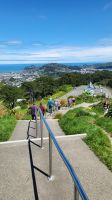 Rundreise Neuseeland // Aussicht in Wellington