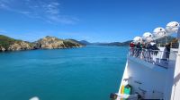 Rundreise Neuseeland // Überfahrt von Wellington nach Picton zur Südinsel