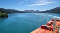 Rundreise Neuseeland // Überfahrt von Wellington nach Picton zur Südinsel