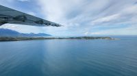 Rundreise Neuseeland // Wings over Wales bei Kaikoura - Wir suchen Pottwale