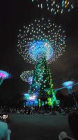 Rundreise Neuseeland // Supertrees in Singapur