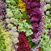 Rundreise Neuseeland // Flower Dome in Singapur