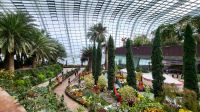 Rundreise Neuseeland // Flower Dome in Singapur
