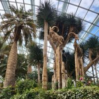 Rundreise Neuseeland // Flower Dome in Singapur