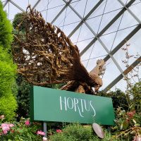 Rundreise Neuseeland // Flower Dome in Singapur