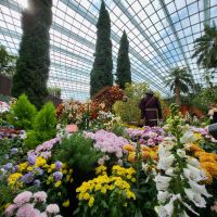 Rundreise Neuseeland // Flower Dome in Singapur